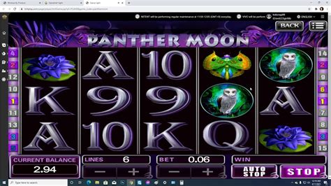  casino panther/irm/premium modelle/oesterreichpaket
